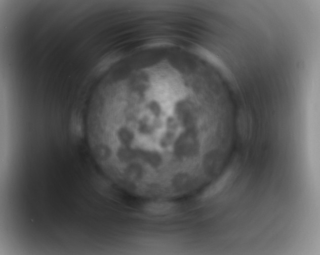 X0000092330929200709211304