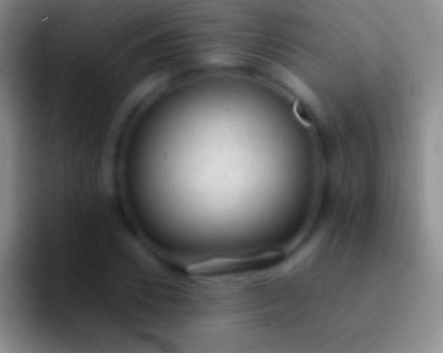 X0000092330930200709211304