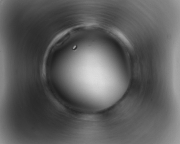 X0000092330932200709211304