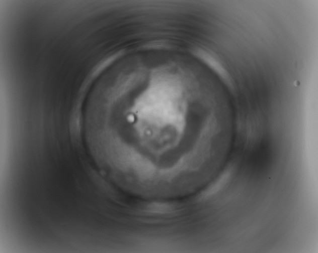 X0000092330933200709211304