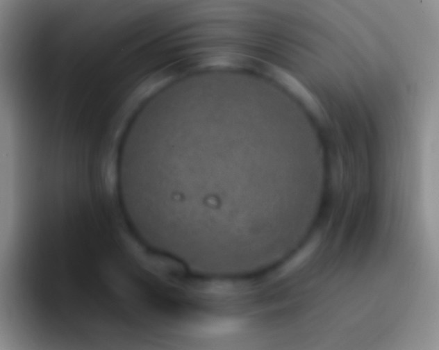 X0000092330938200709211305
