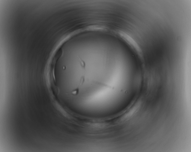 X0000092330941200709211305
