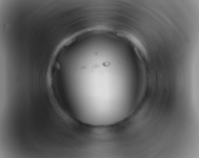 X0000092330944200709211305