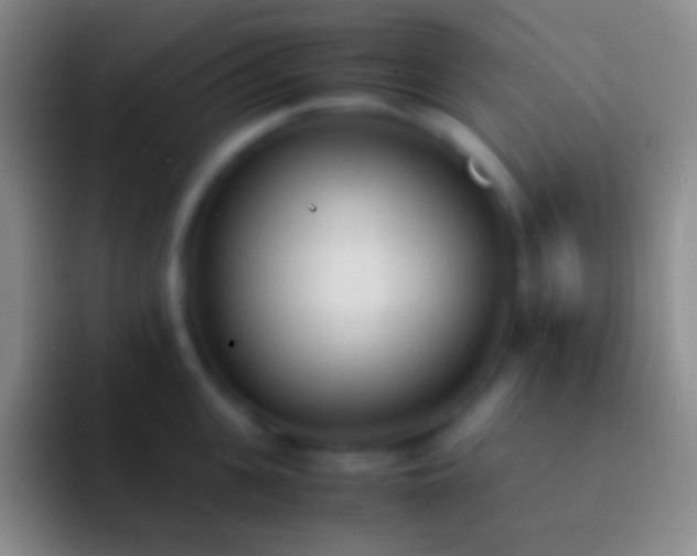 X0000092330951200709211305