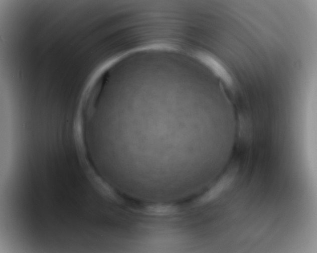 X0000092330952200709211305