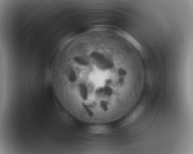 X0000092330953200709211305