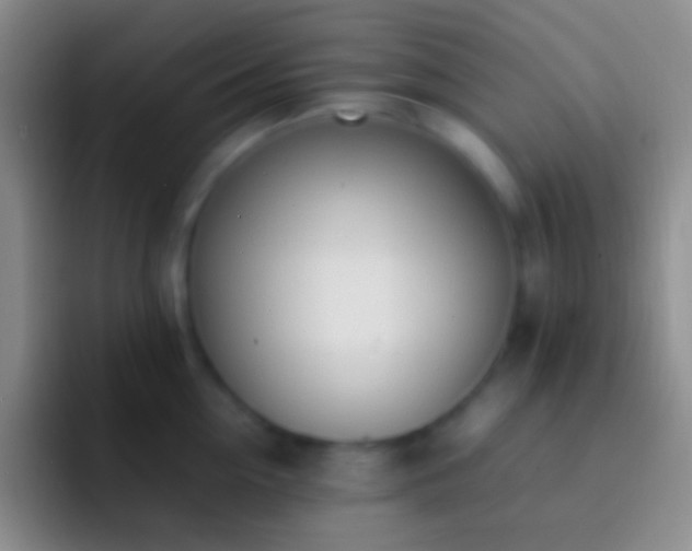 X0000092330954200709211305