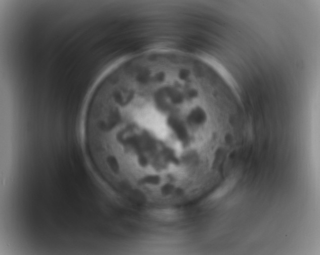 X0000092330957200709211305
