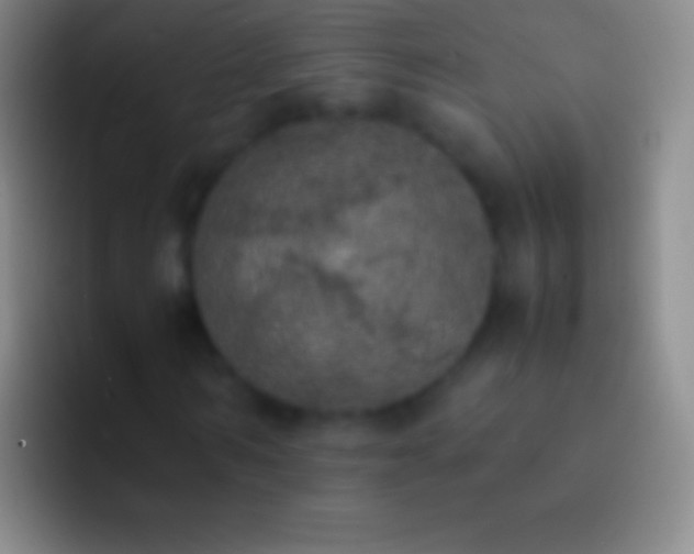 X0000092330962200709211304