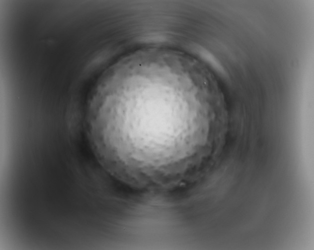 X0000092330967200709211304