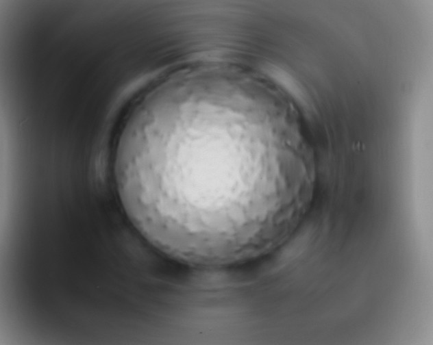 X0000092330971200709211304