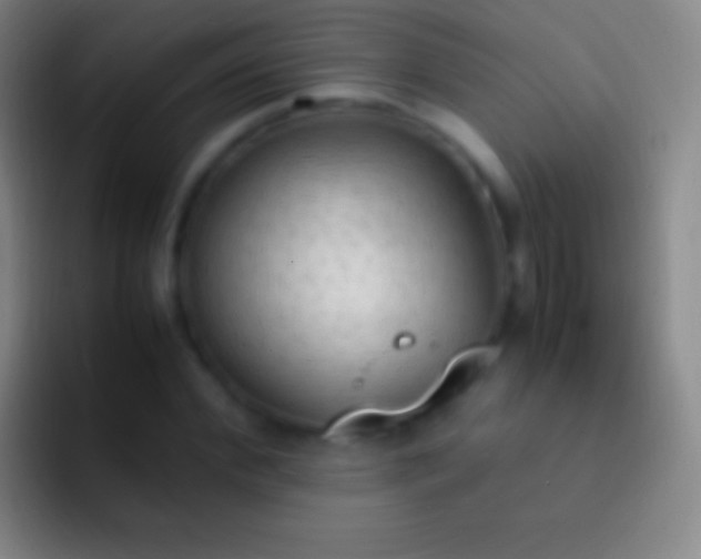 X0000092330972200709211304