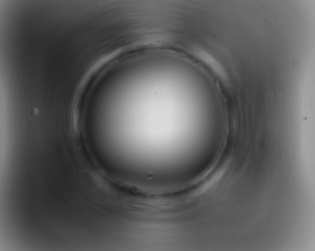 X0000092330973200709211304