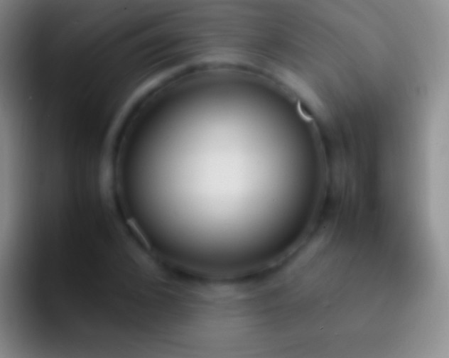X0000092330976200709211304