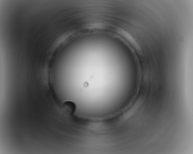 X0000092330978200709211304