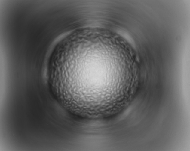 X0000092330979200709211304