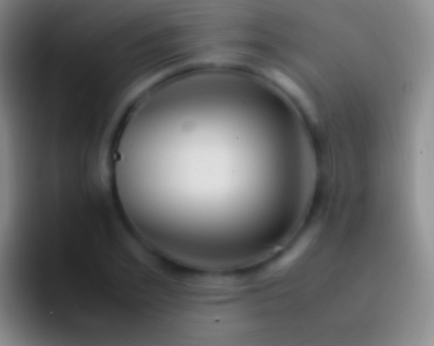 X0000092330981200709211304