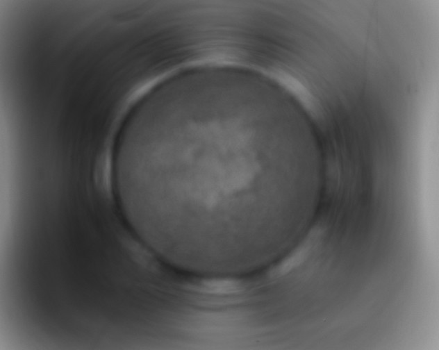 X0000092330982200709211304