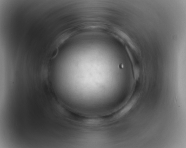 X0000092330985200709211304