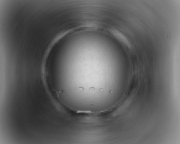 X0000092330989200709211304