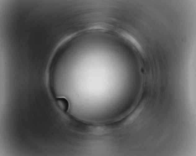 X0000092330991200709211304