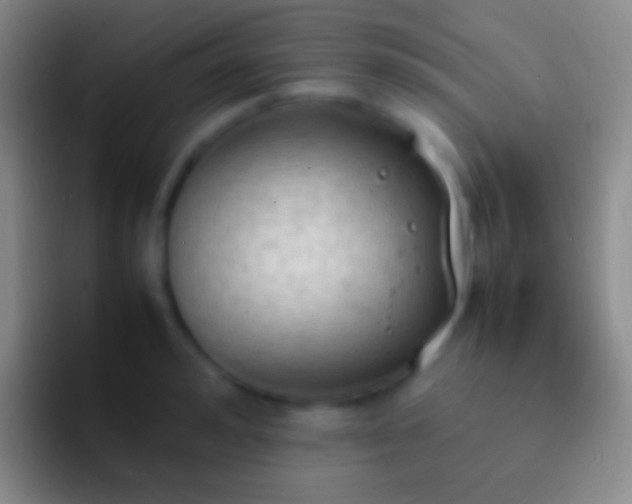 X0000092330992200709211304