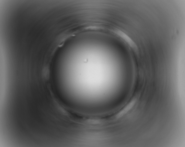 X0000092330993200709211304