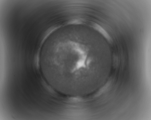 X0000092330994200709211304