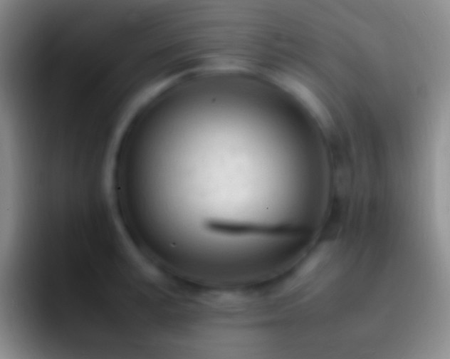X0000092330995200709211304