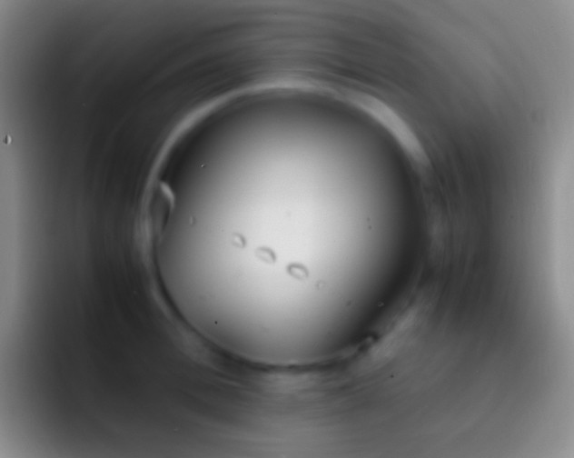 X0000092330996200709211304