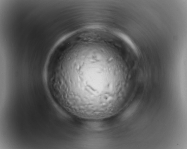 X0000092330999200709211304