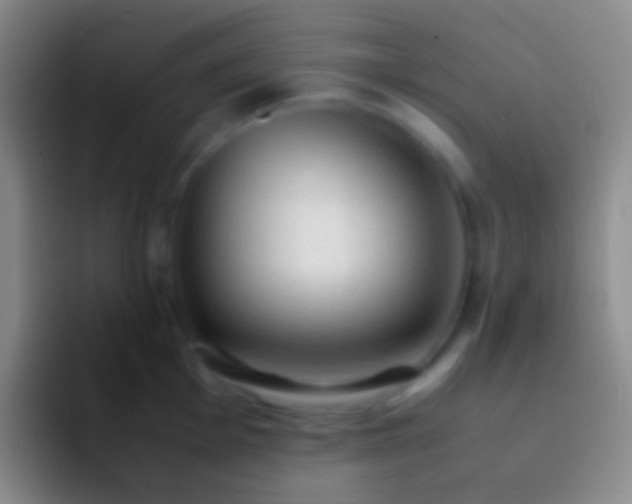X0000092331001200709211304