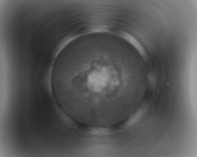 X0000092331002200709211304