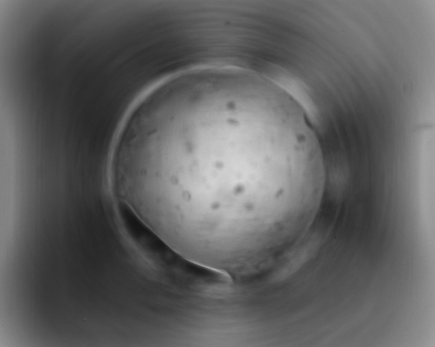 X0000092331004200709211304