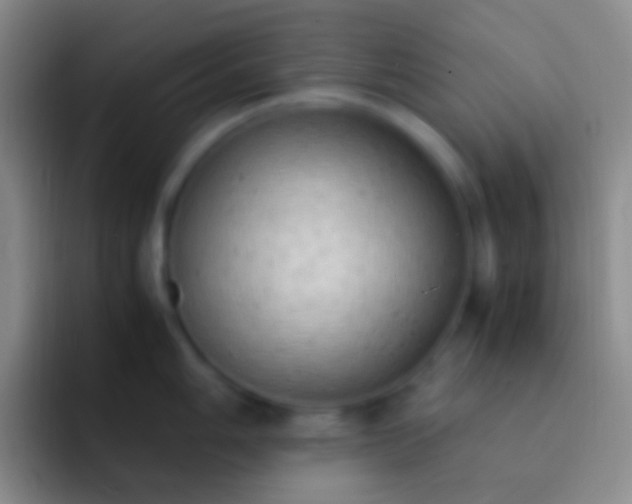 X0000092331006200709211304