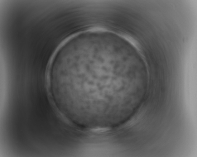 X0000092331008200709211304