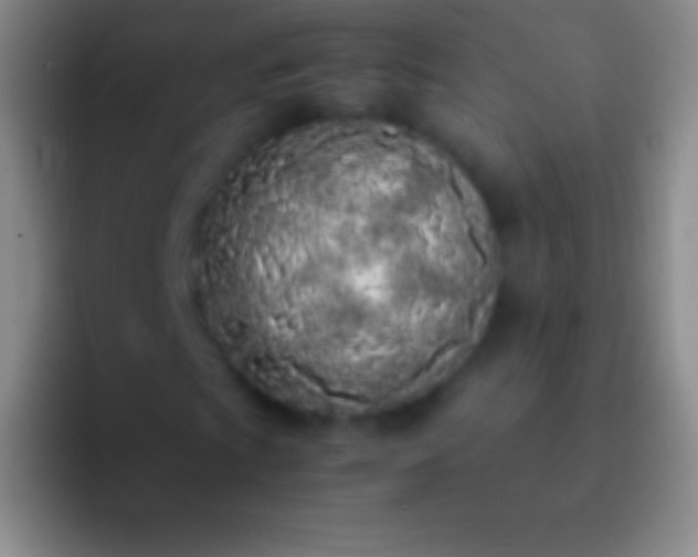 X0000092331009200709211303