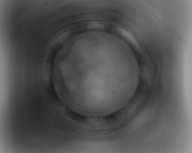 X0000092331015200709211303