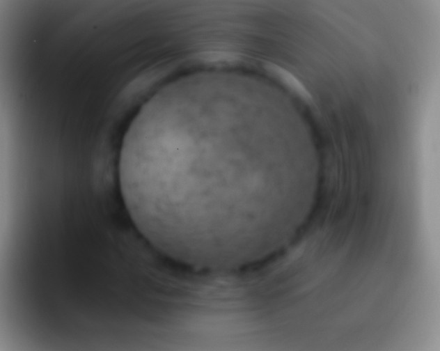 X0000092331016200709211303