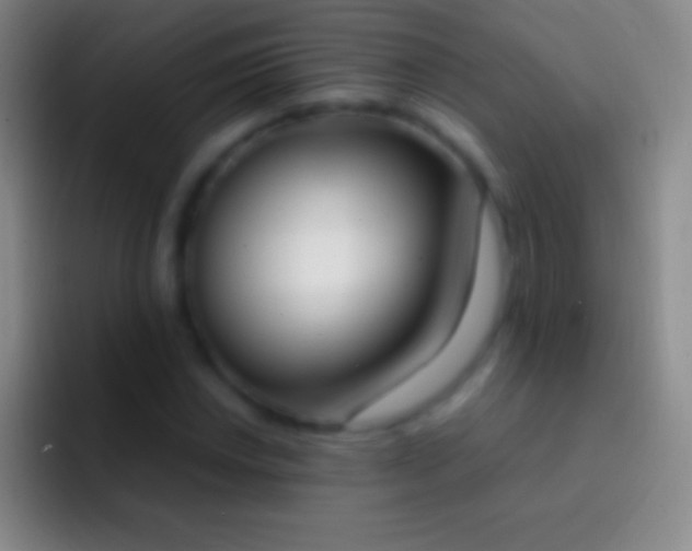 X0000092331018200709211303