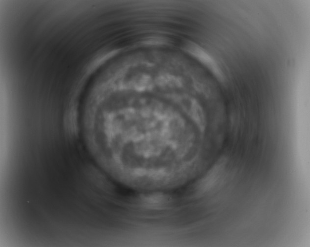 X0000092331019200709211303