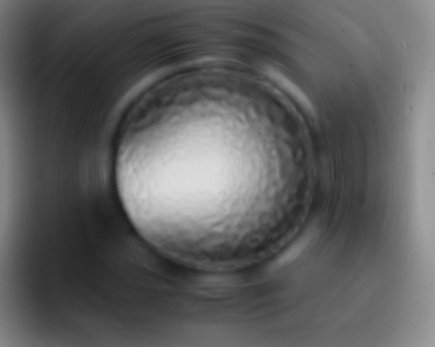 X0000092331021200709211303