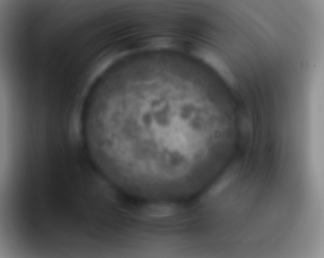 X0000092331023200709211303