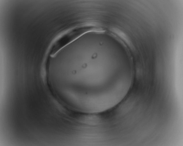 X0000092331024200709211303