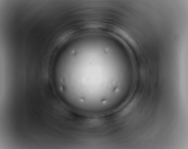 X0000092331025200709211303