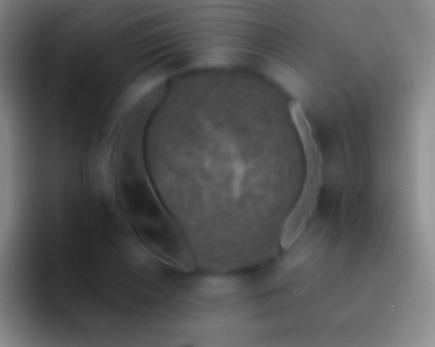 X0000092331026200709211303
