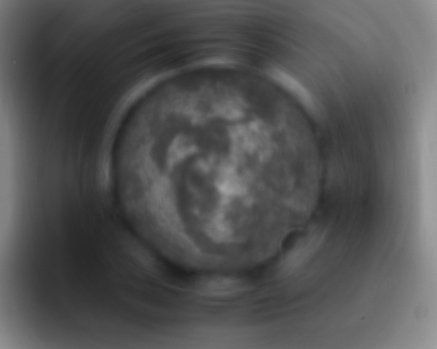 X0000092331027200709211303