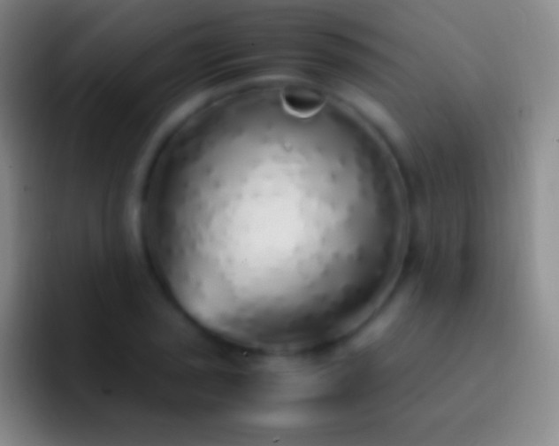 X0000092331029200709211303