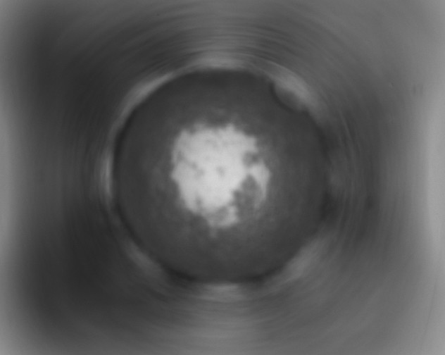 X0000092331030200709211303