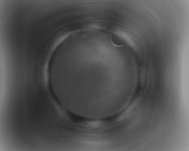 X0000092331031200709211303